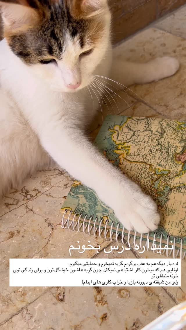  جدید ترین استوری اینستاگرام زری