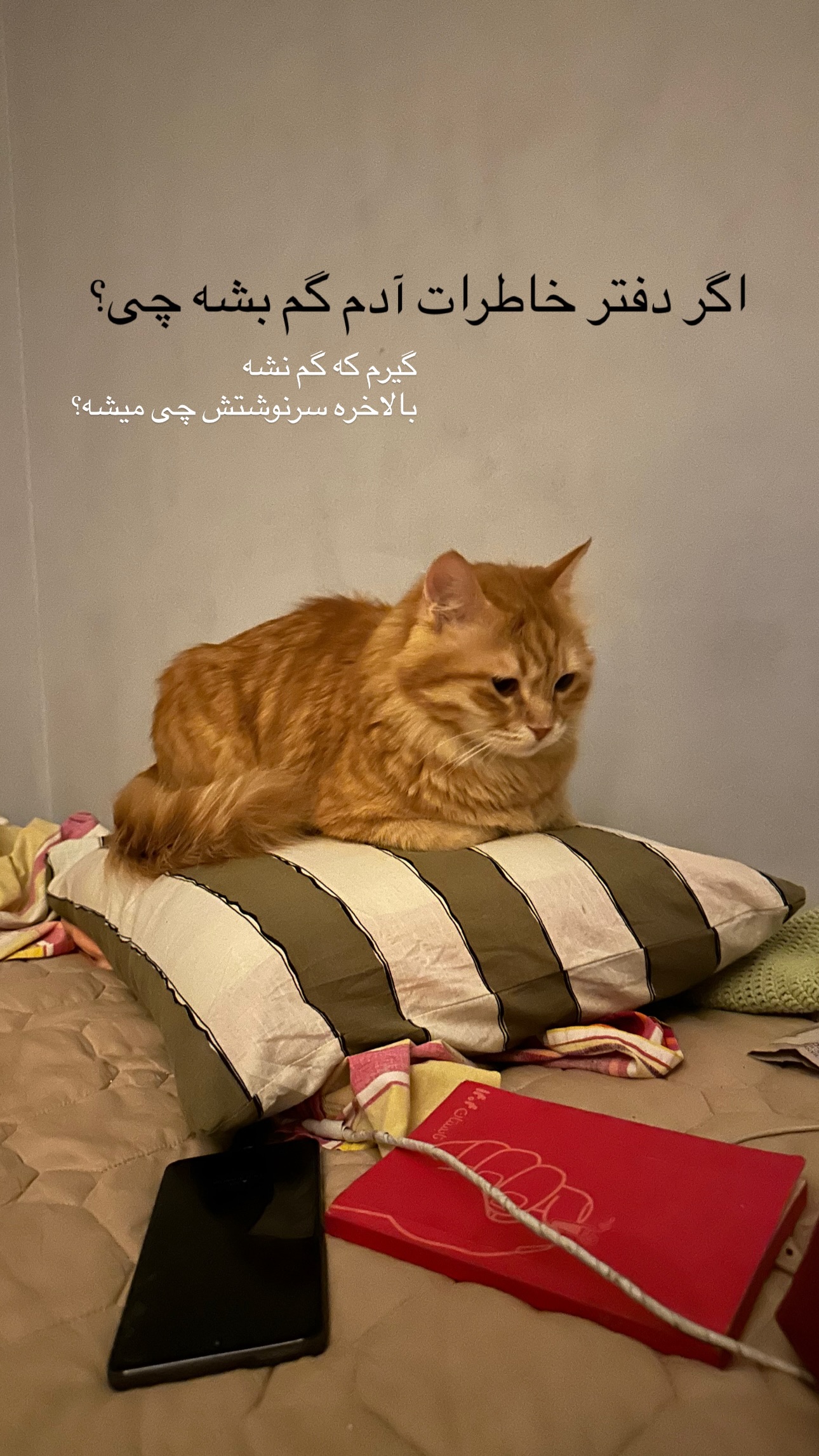  جدید ترین استوری اینستاگرام زری