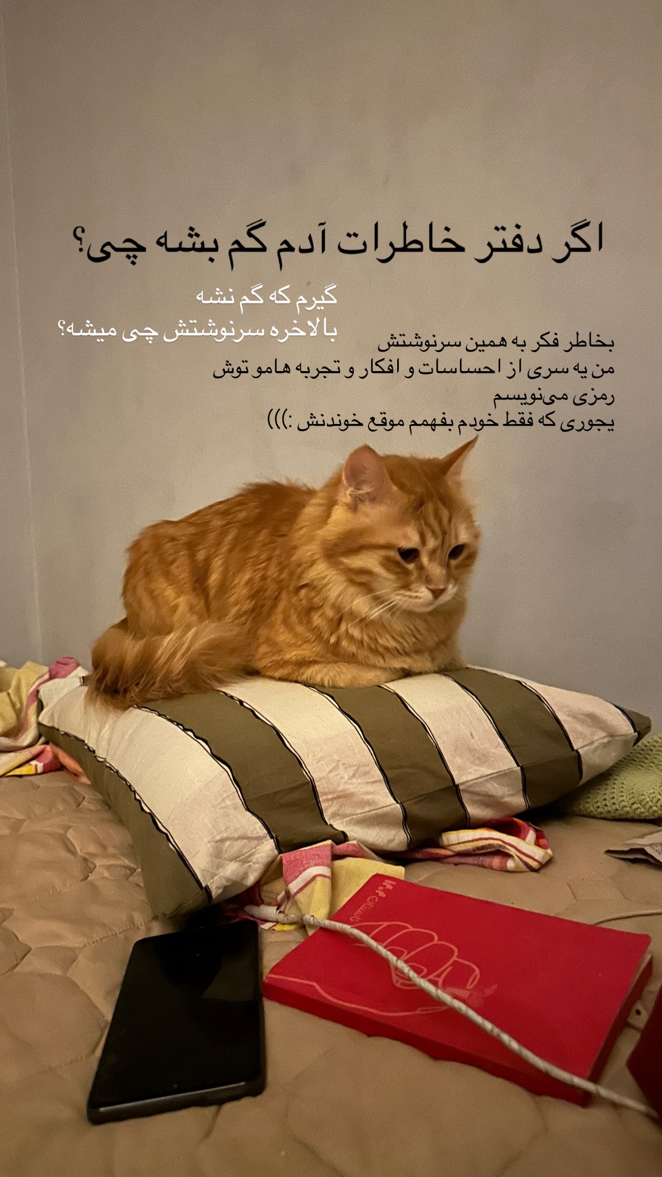  جدید ترین استوری اینستاگرام زری