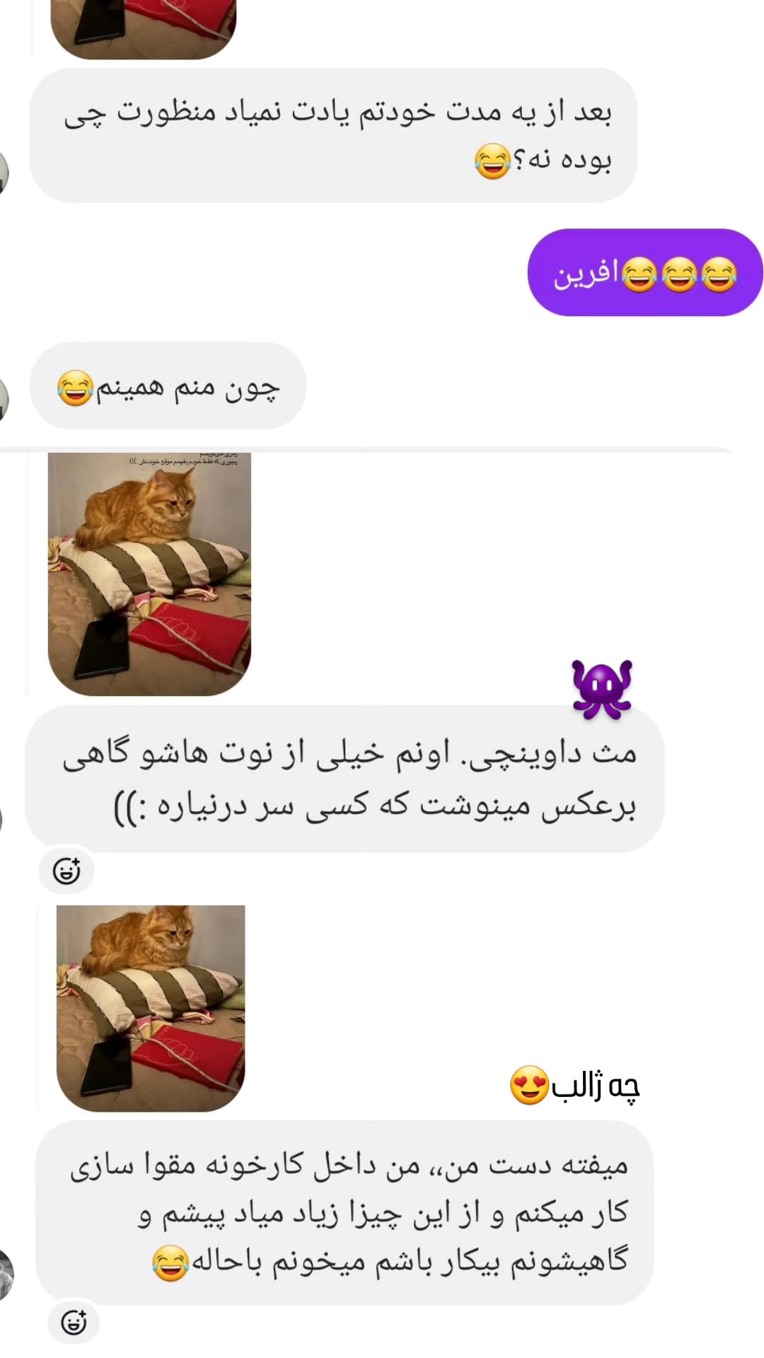  جدید ترین استوری اینستاگرام زری