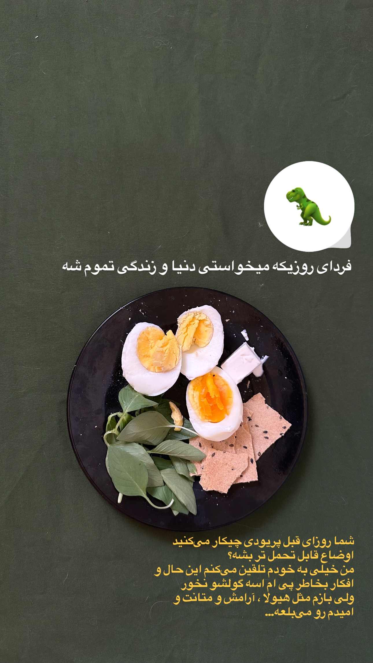  جدید ترین استوری اینستاگرام زری