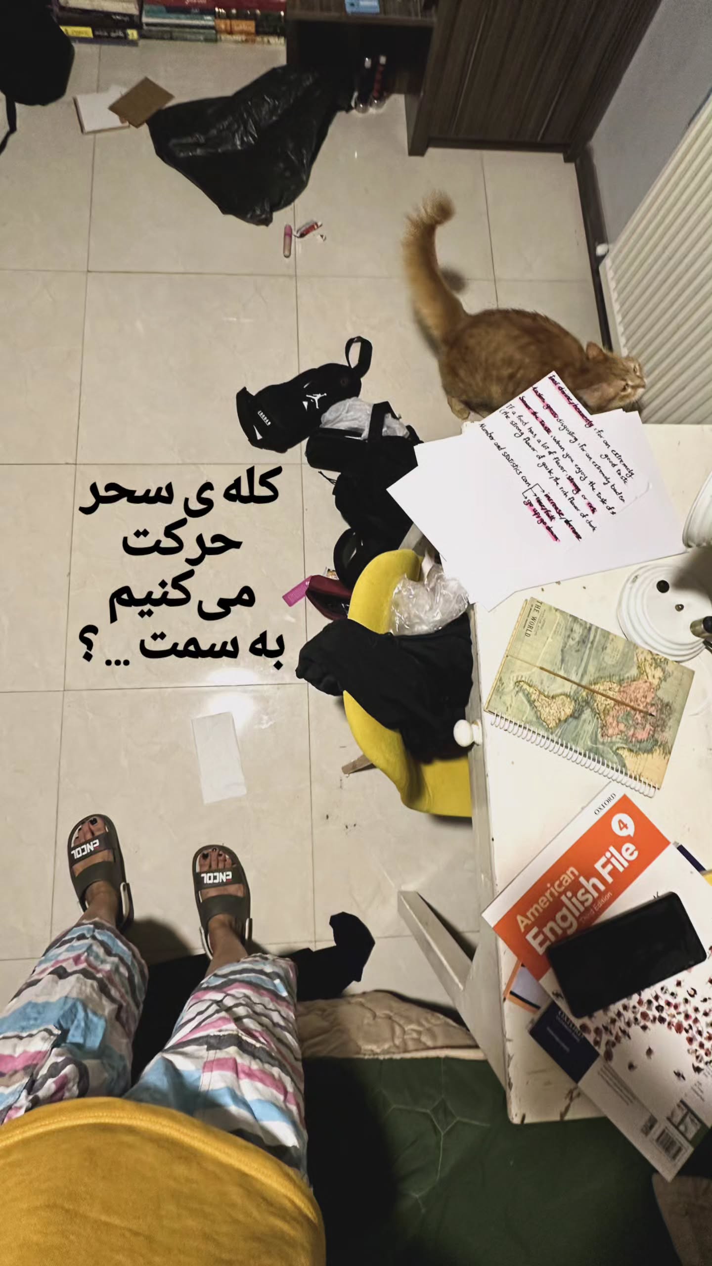  جدید ترین استوری اینستاگرام زری