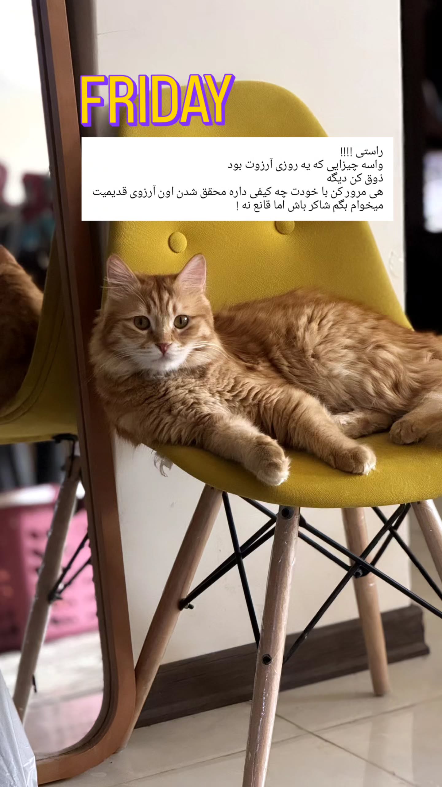  جدید ترین استوری اینستاگرام زری