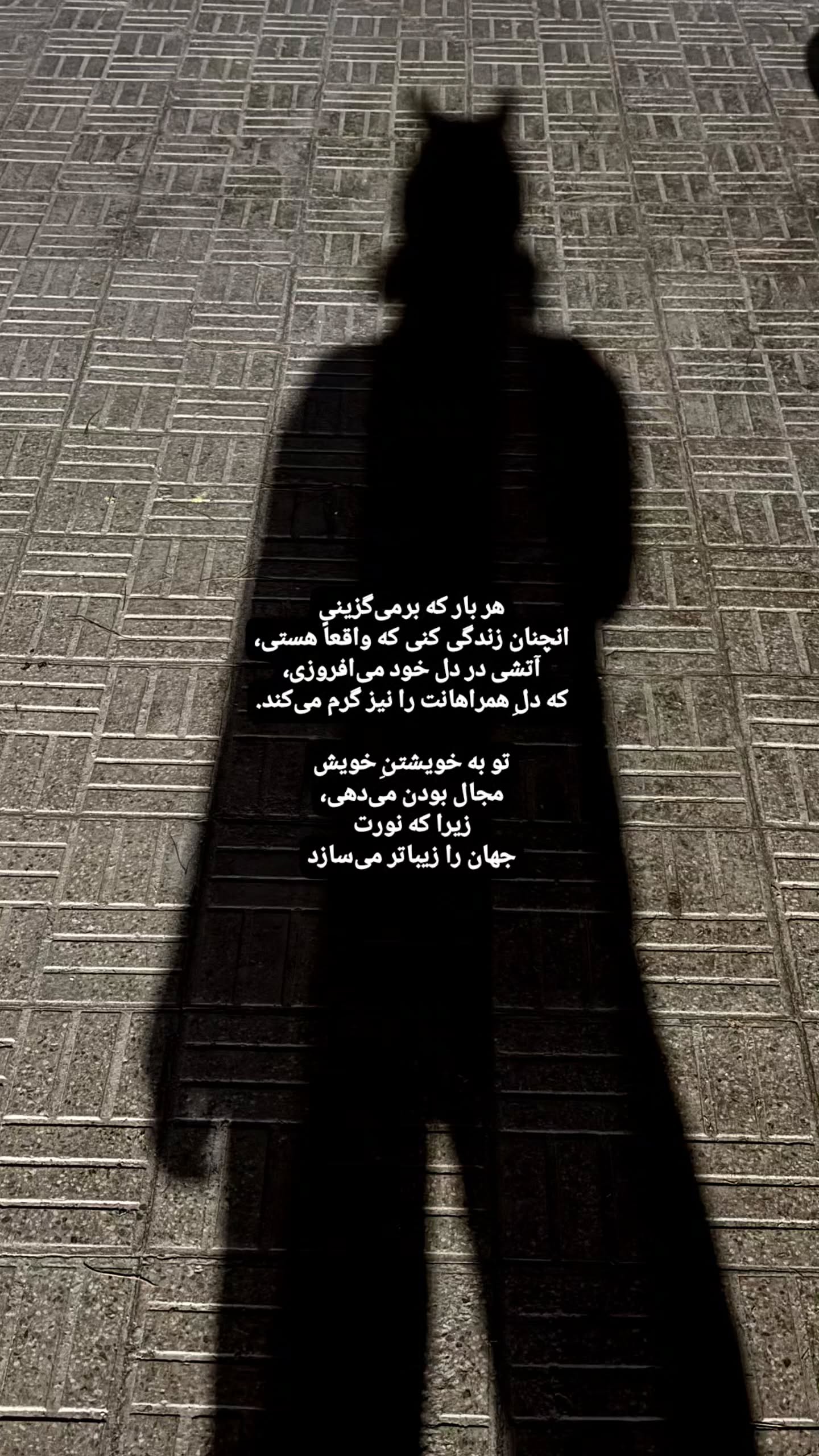  جدید ترین استوری اینستاگرام زری