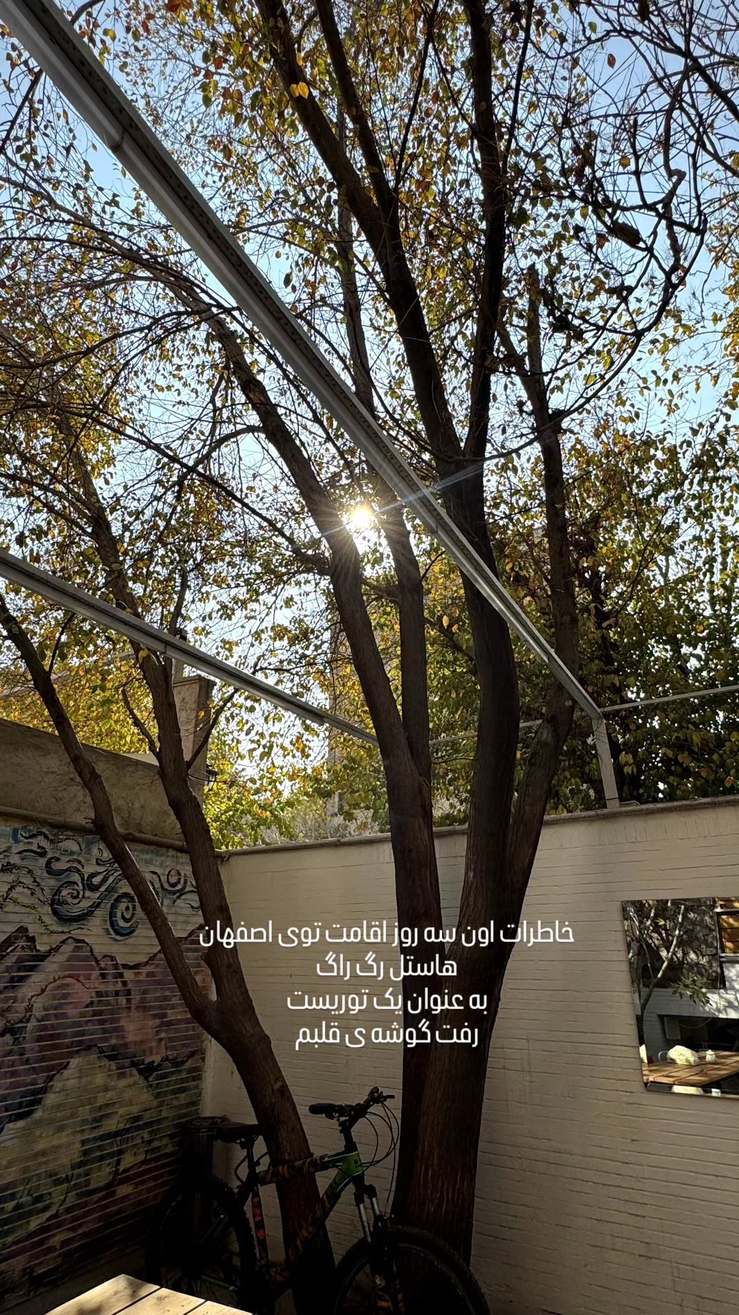  جدید ترین استوری اینستاگرام زری