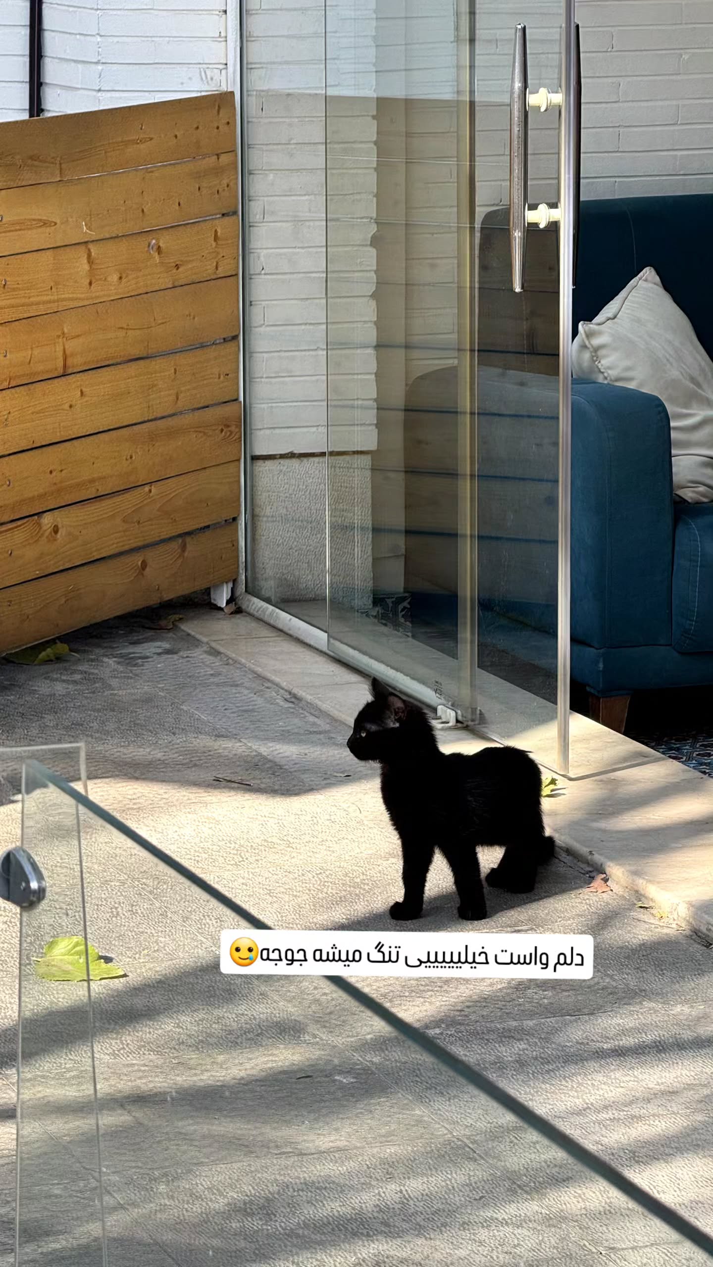  جدید ترین استوری اینستاگرام زری