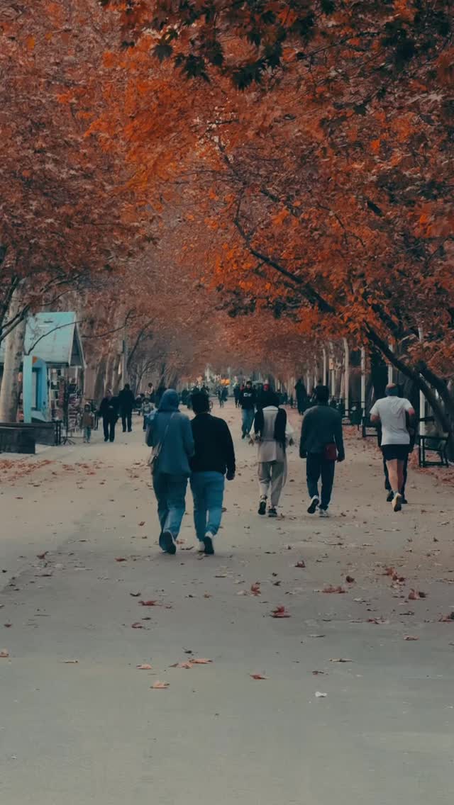  جدید ترین استوری اینستاگرام عصمت پرست