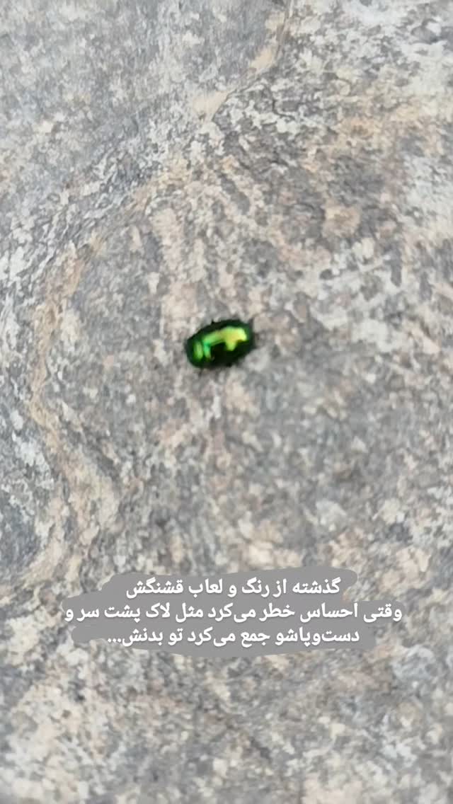  جدید ترین استوری اینستاگرام علی پاک نهاد