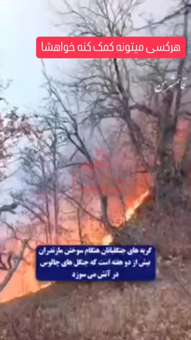  جدید ترین استوری اینستاگرام عباس رضازاده