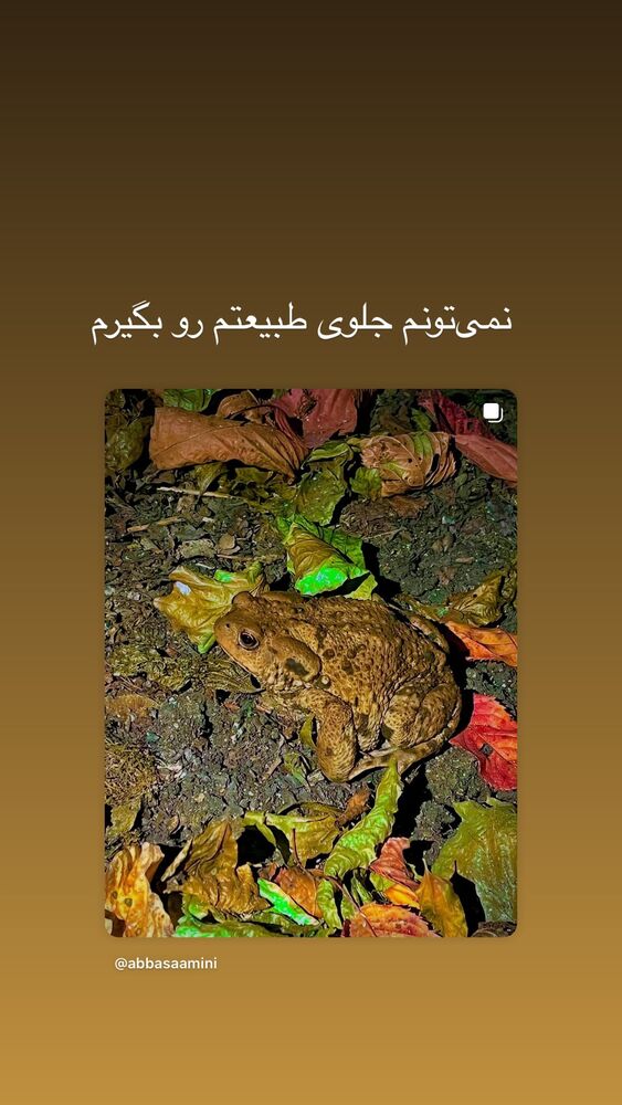  جدید ترین استوری اینستاگرام عباس امینی