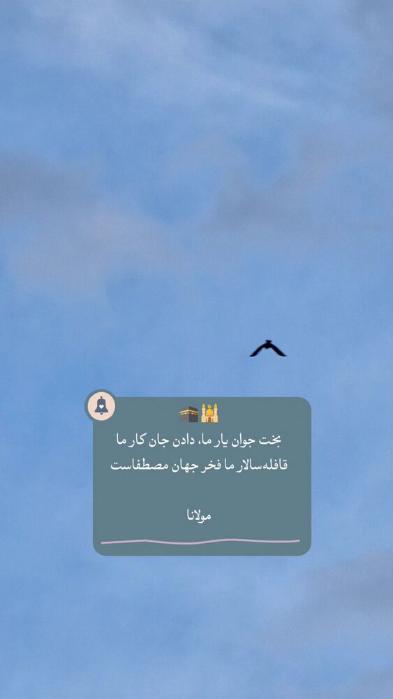  جدید ترین استوری اینستاگرام عباس حسین نژاد