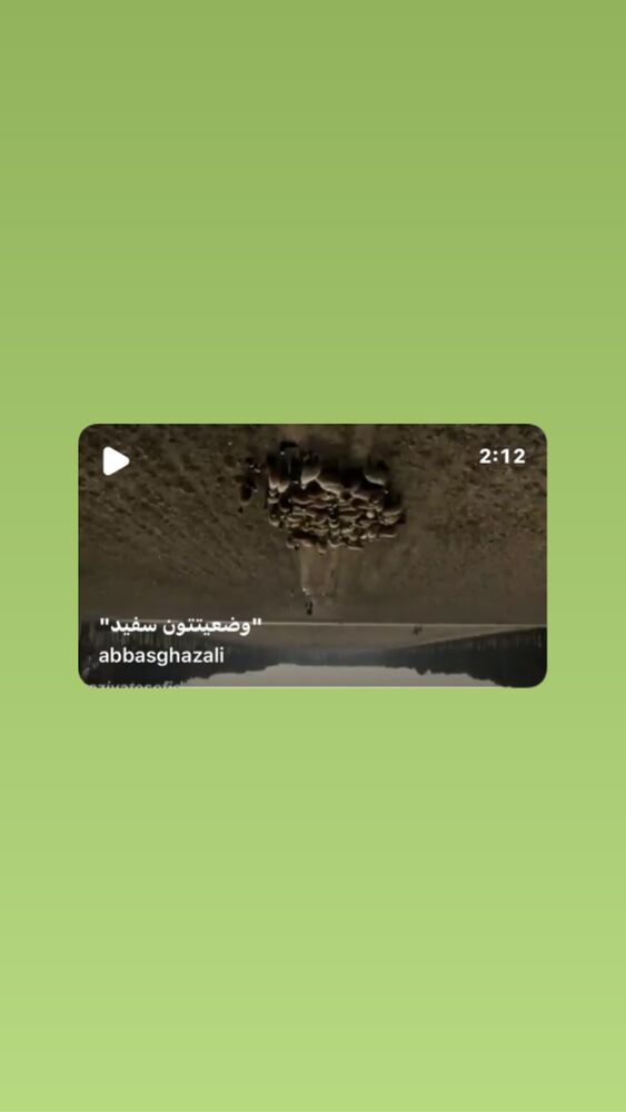 جدید ترین استوری اینستاگرام عباس غزالی