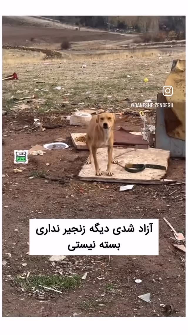  جدید ترین استوری اینستاگرام عباس کریمی