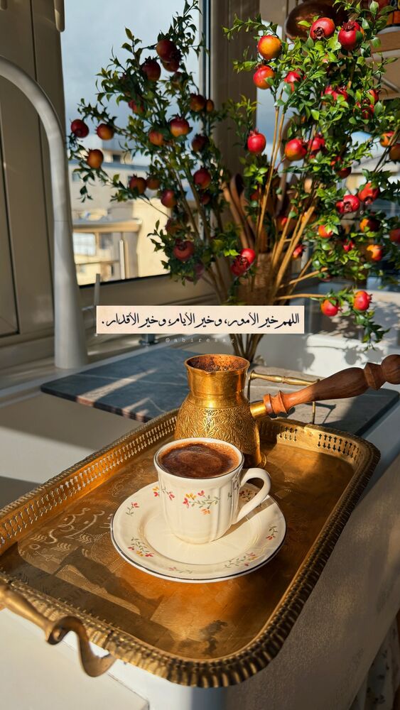  جدید ترین استوری اینستاگرام عبير الصغير
