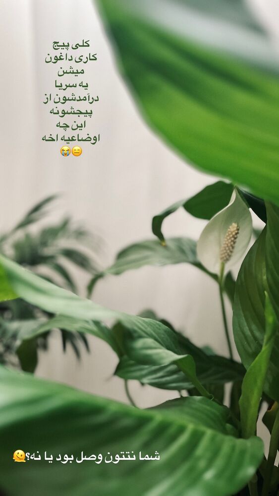 جدید ترین استوری اینستاگرام پریسا خبیر