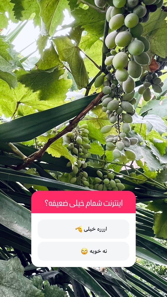  جدید ترین استوری اینستاگرام پریسا خبیر
