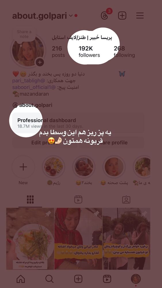  جدید ترین استوری اینستاگرام پریسا خبیر