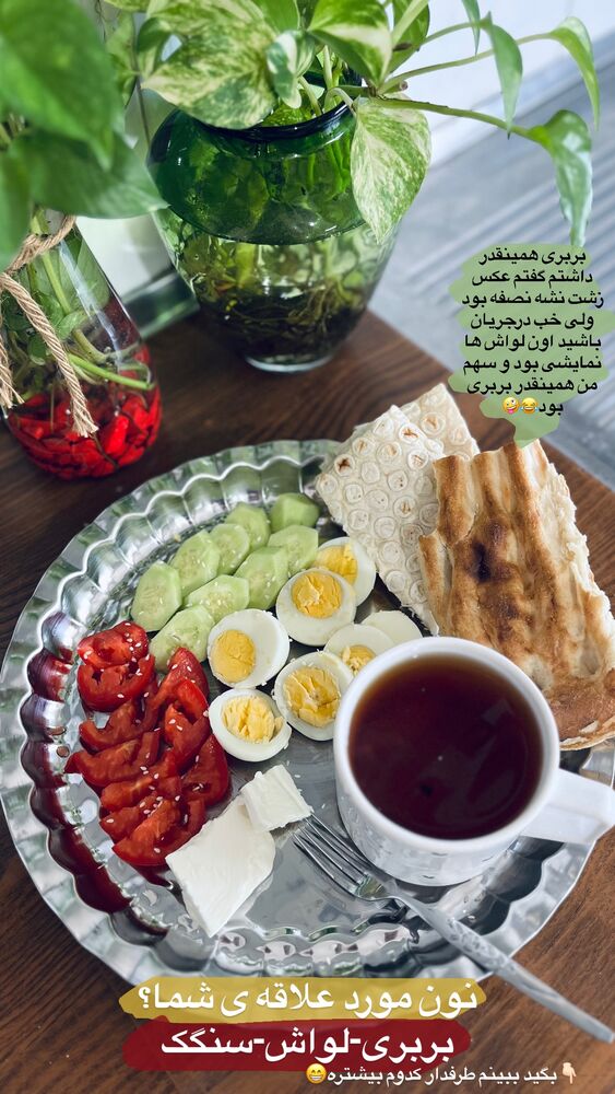  جدید ترین استوری اینستاگرام پریسا خبیر