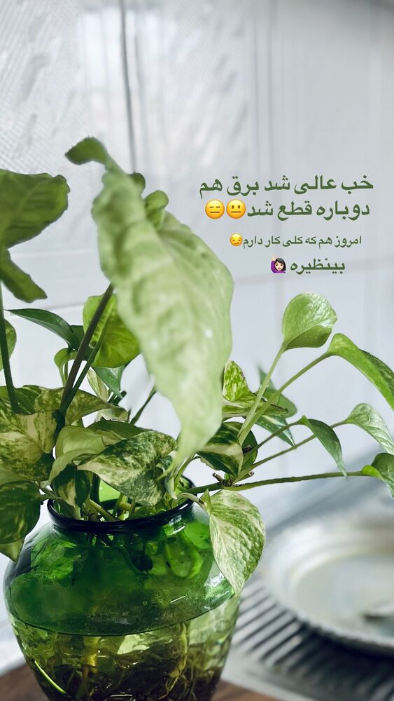  جدید ترین استوری اینستاگرام پریسا خبیر