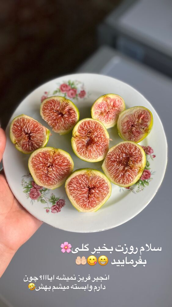  جدید ترین استوری اینستاگرام پریسا خبیر