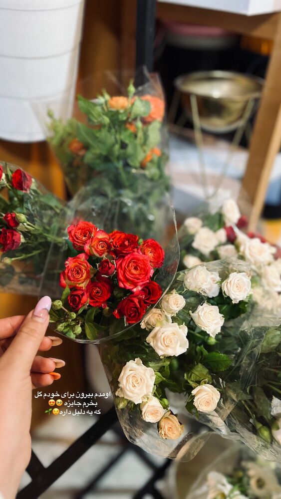  جدید ترین استوری اینستاگرام پریسا خبیر