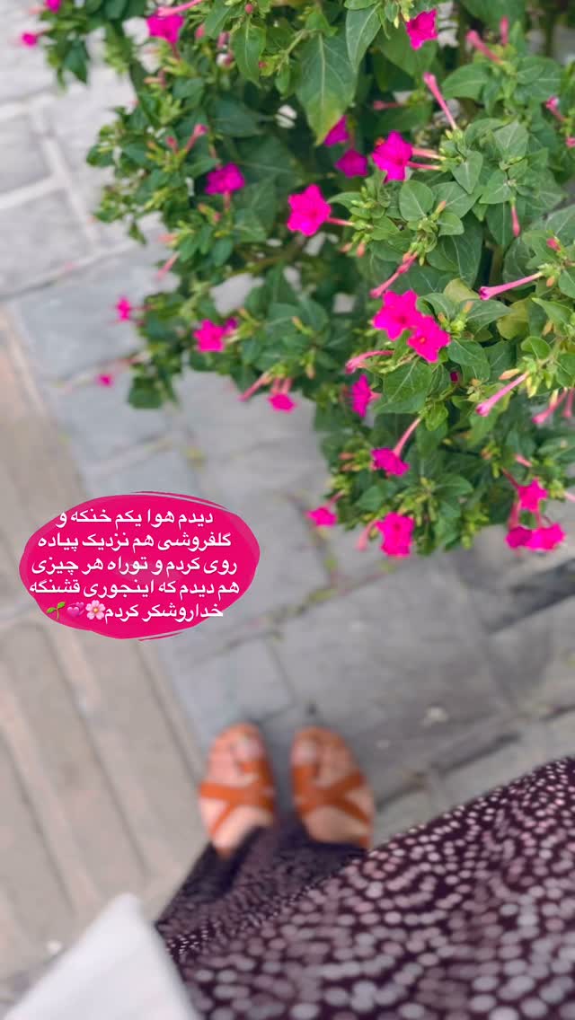  جدید ترین استوری اینستاگرام پریسا خبیر