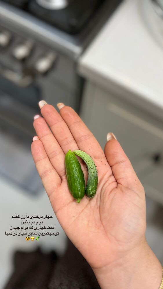 جدید ترین استوری اینستاگرام پریسا خبیر