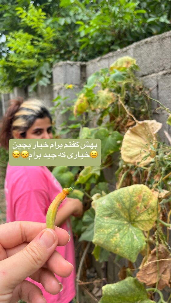  جدید ترین استوری اینستاگرام پریسا خبیر