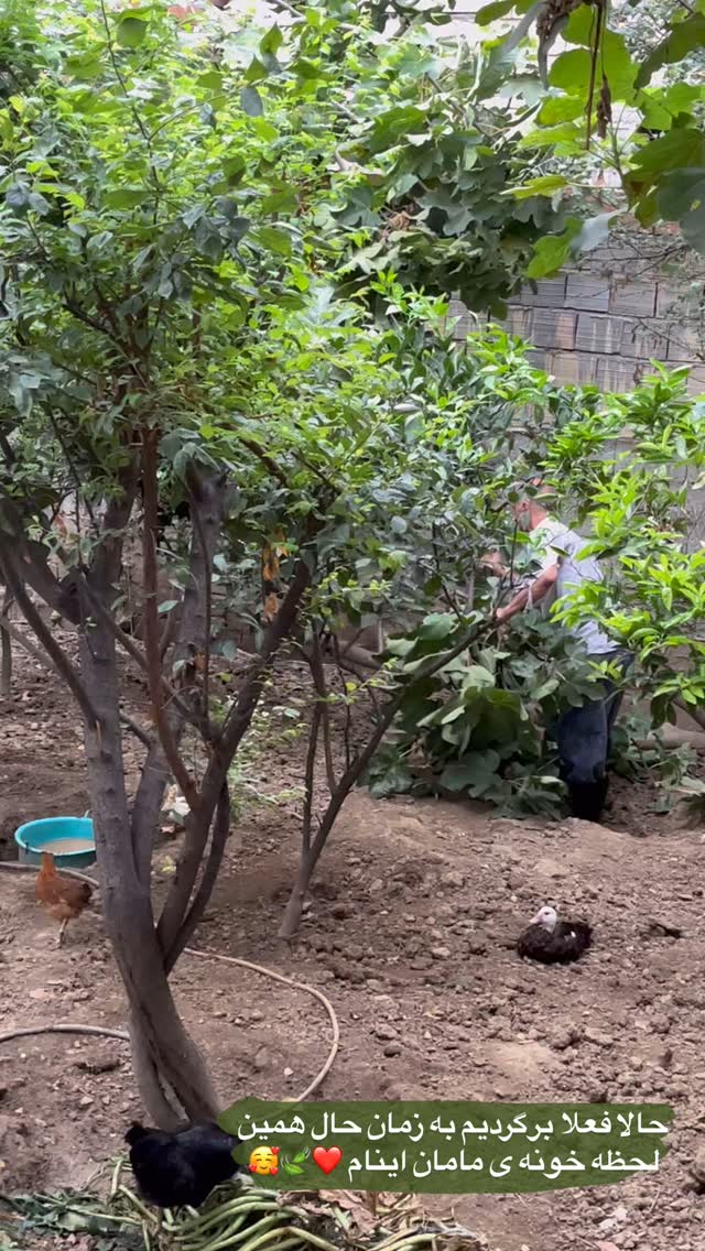  جدید ترین استوری اینستاگرام پریسا خبیر