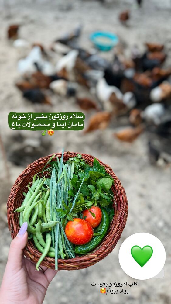  جدید ترین استوری اینستاگرام پریسا خبیر