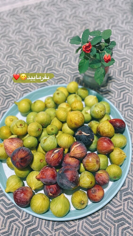  جدید ترین استوری اینستاگرام پریسا خبیر