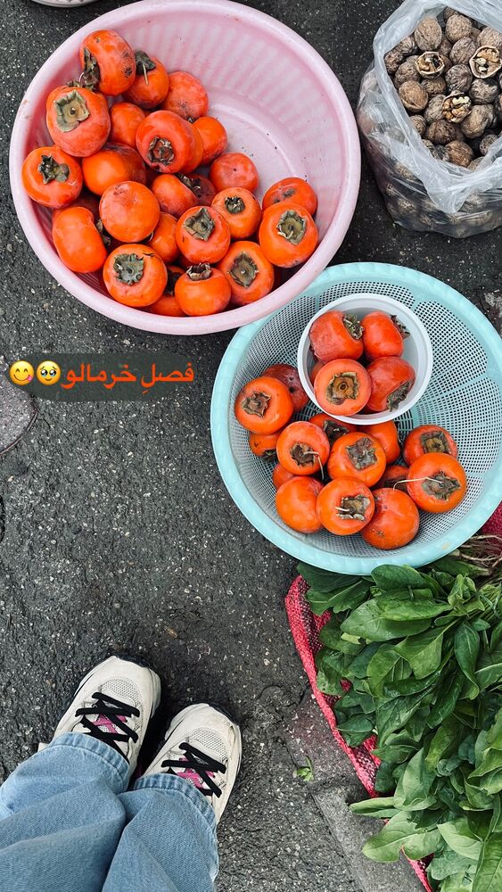  جدید ترین استوری اینستاگرام پریسا خبیر