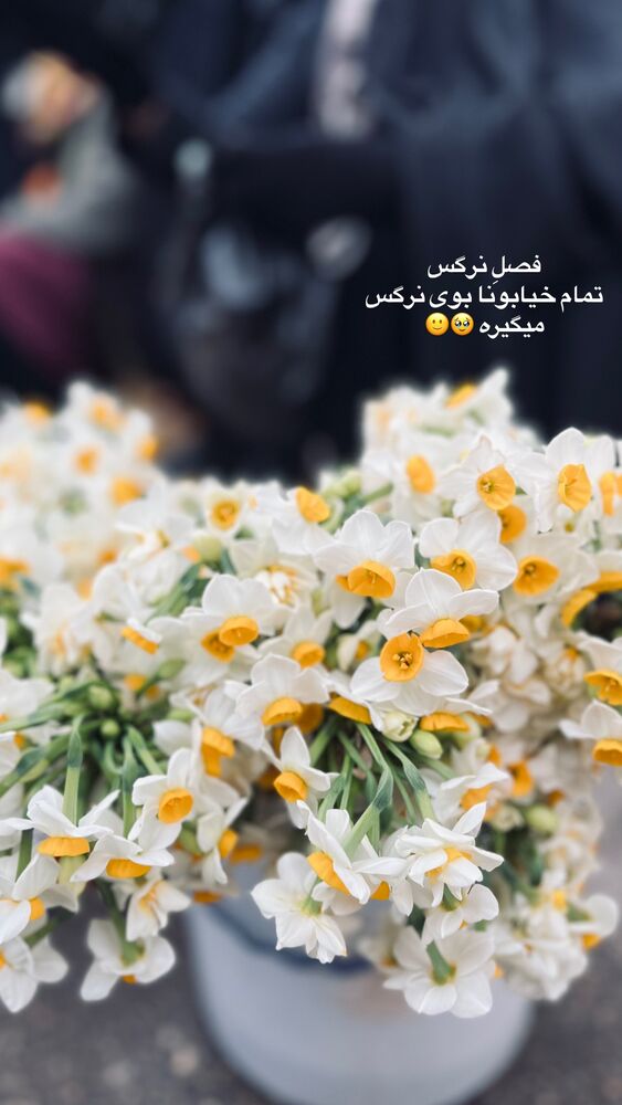  جدید ترین استوری اینستاگرام پریسا خبیر