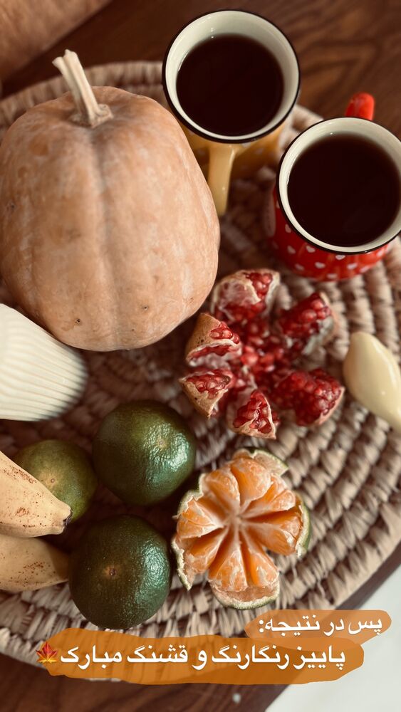  جدید ترین استوری اینستاگرام پریسا خبیر