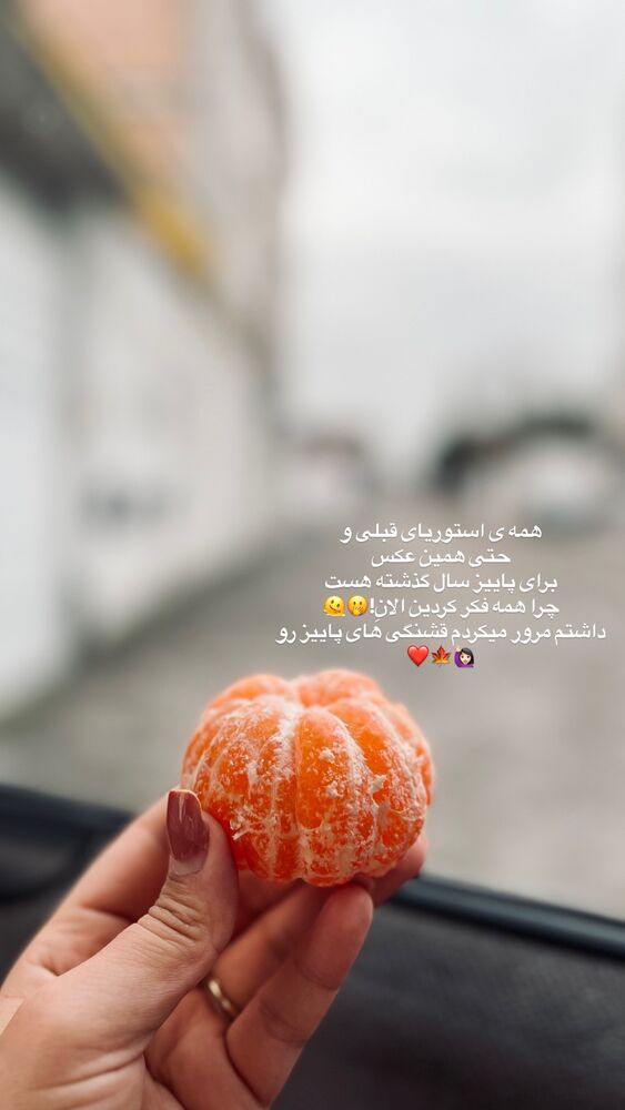  جدید ترین استوری اینستاگرام پریسا خبیر
