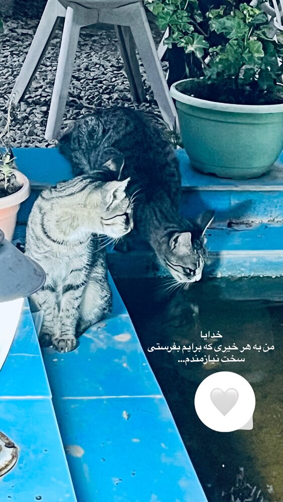 جدید ترین استوری اینستاگرام پریسا خبیر