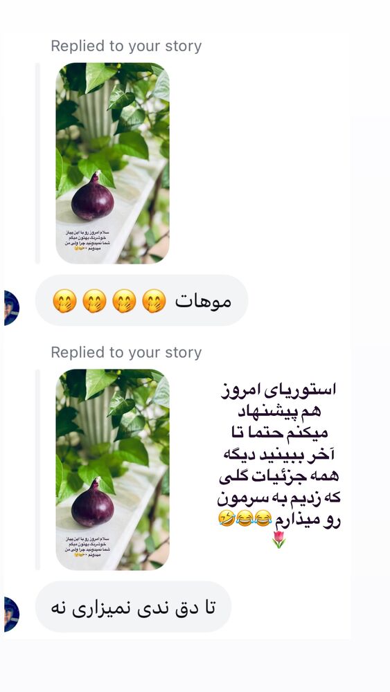  جدید ترین استوری اینستاگرام پریسا خبیر