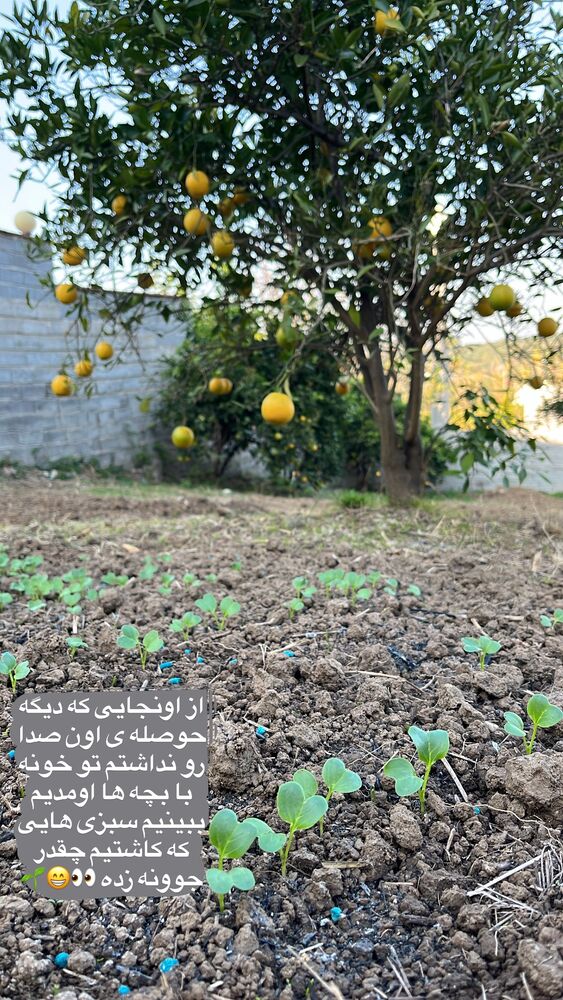  جدید ترین استوری اینستاگرام پریسا خبیر