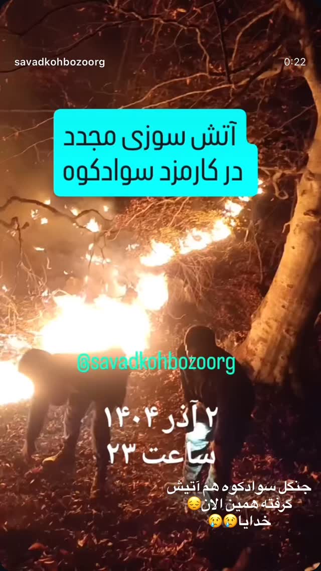  جدید ترین استوری اینستاگرام پریسا خبیر