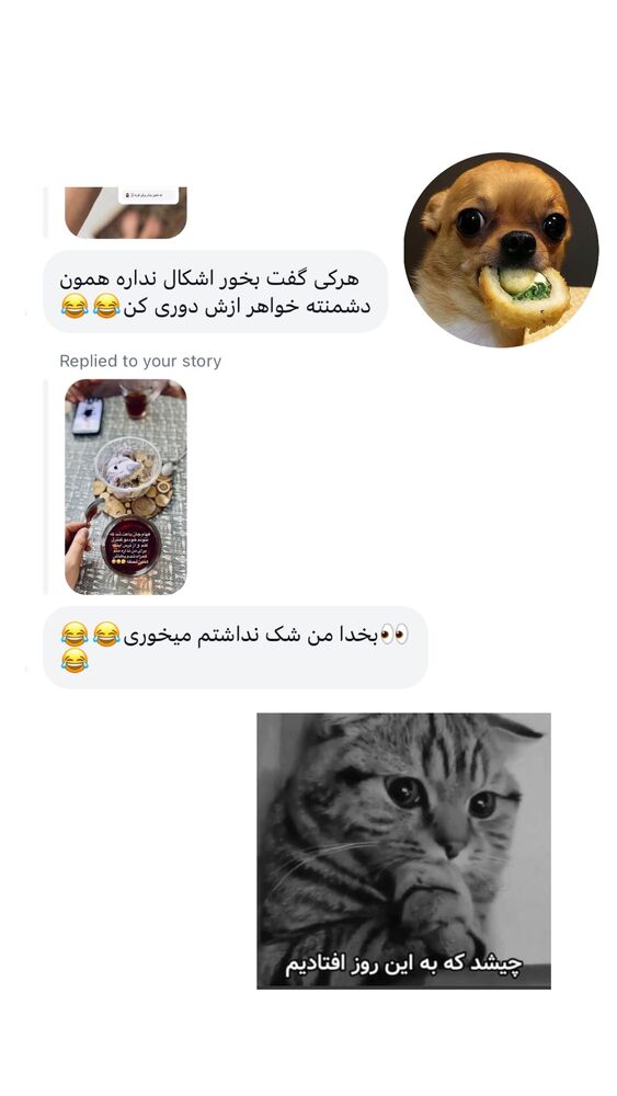  جدید ترین استوری اینستاگرام پریسا خبیر