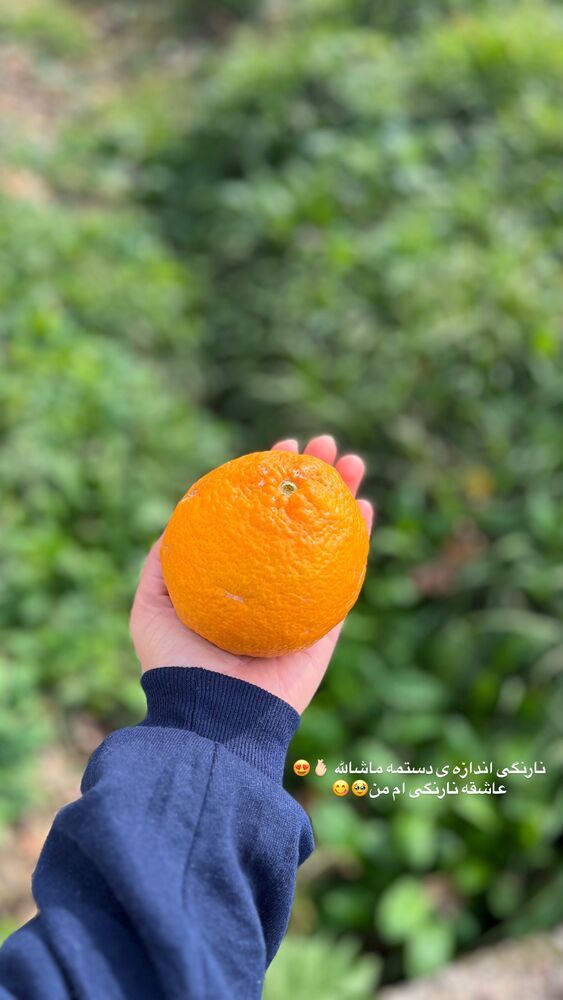  جدید ترین استوری اینستاگرام پریسا خبیر