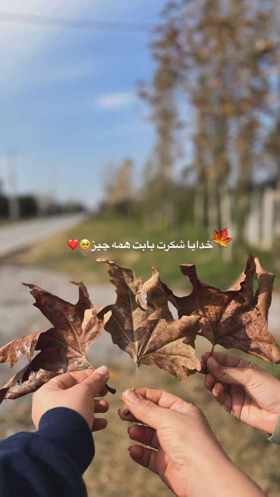 جدید ترین استوری اینستاگرام پریسا خبیر