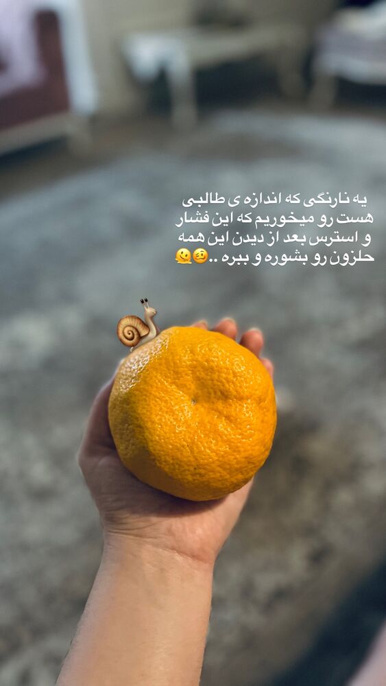  جدید ترین استوری اینستاگرام پریسا خبیر