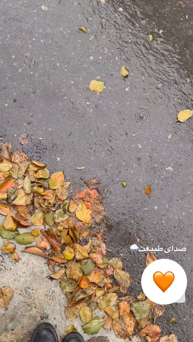  جدید ترین استوری اینستاگرام پریسا خبیر