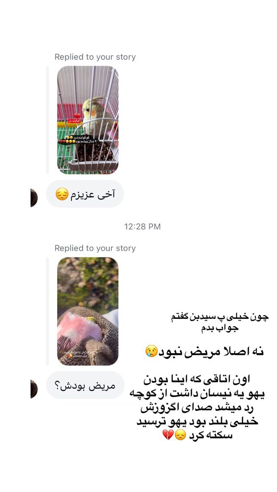  جدید ترین استوری اینستاگرام پریسا خبیر