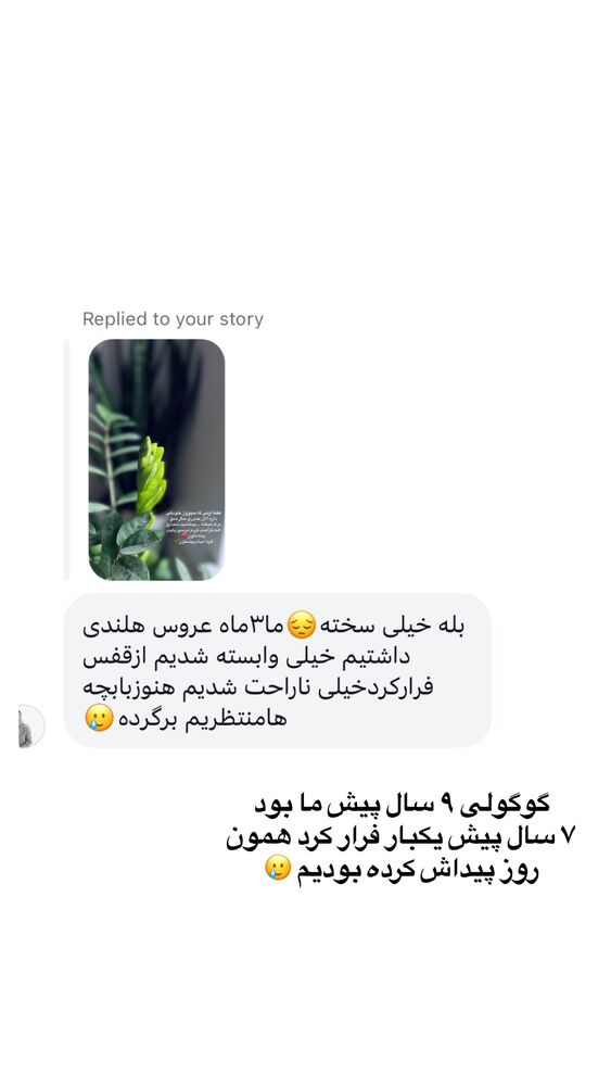 جدید ترین استوری اینستاگرام پریسا خبیر