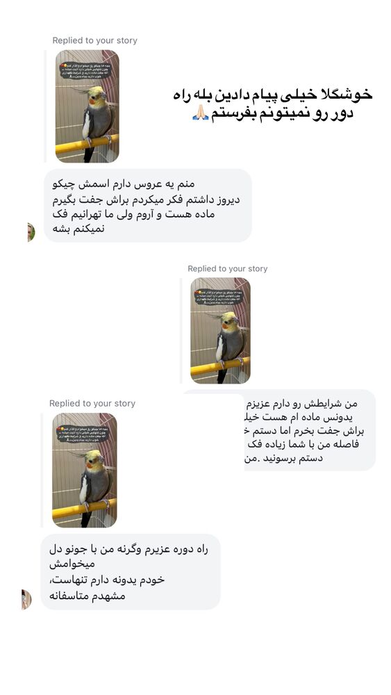  جدید ترین استوری اینستاگرام پریسا خبیر