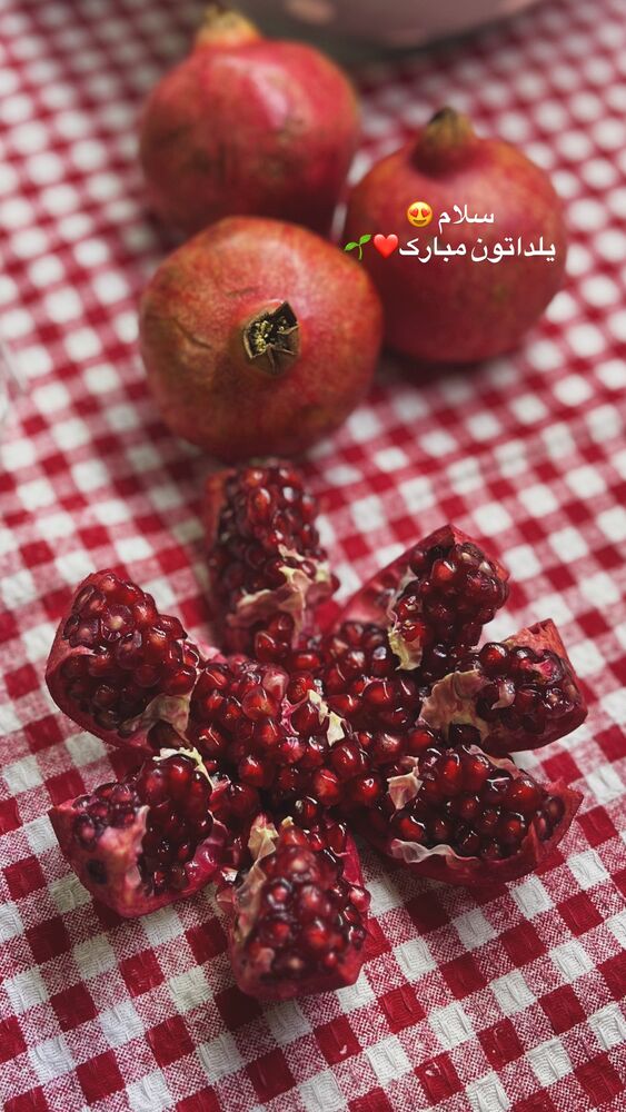  جدید ترین استوری اینستاگرام پریسا خبیر