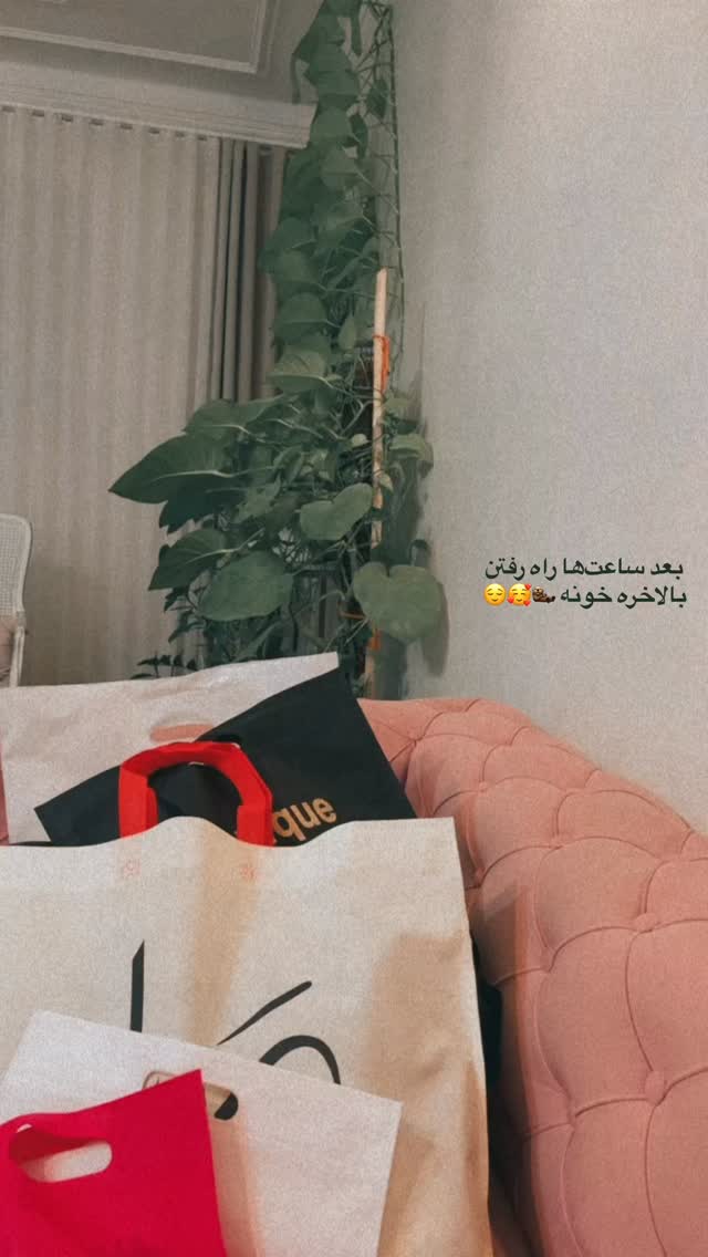  جدید ترین استوری اینستاگرام پریسا خبیر