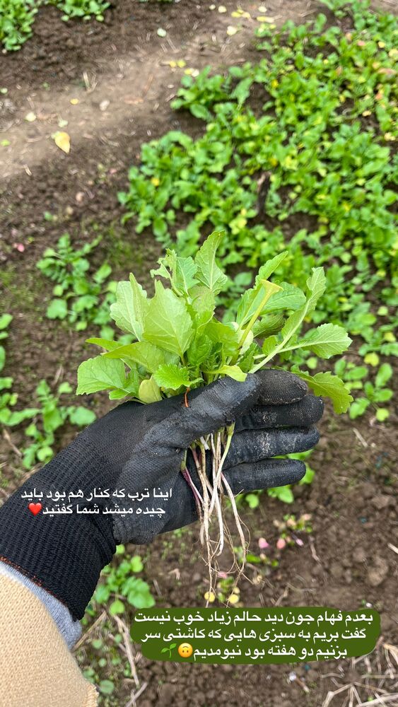  جدید ترین استوری اینستاگرام پریسا خبیر